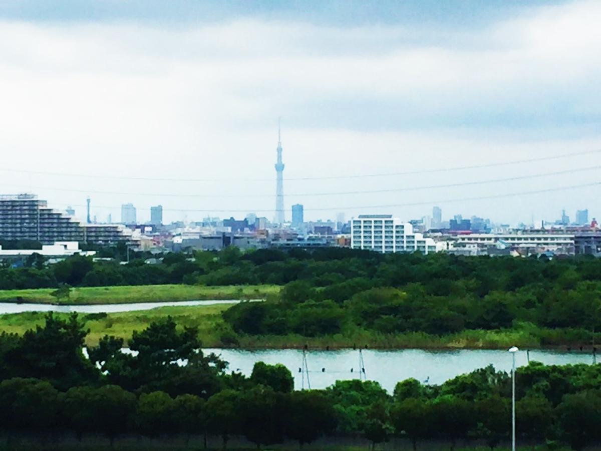 Urayasu Nice Inn Hotel Ichikawa Tokyo Bay מראה חיצוני תמונה